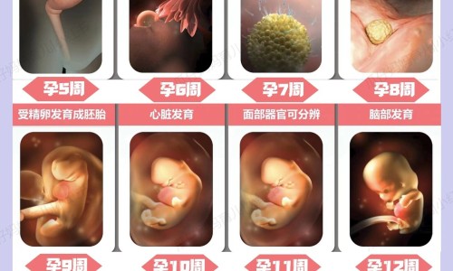屁股出汗穿什么内裤比较好-屁股出汗穿什么内裤网 :分享屁股容易出汗穿什么内裤-夏天屁股出汗怎么穿裤子知识